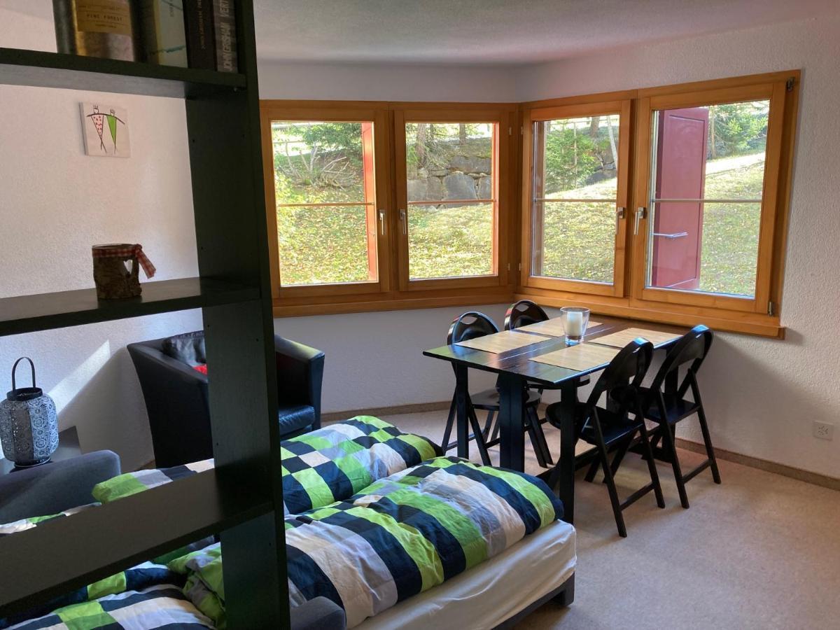 شقة Casa Selva 2000 Fl Whg Nr 2 لينتسرهايدي المظهر الخارجي الصورة
